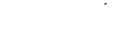 Žebeerková Kozlovna